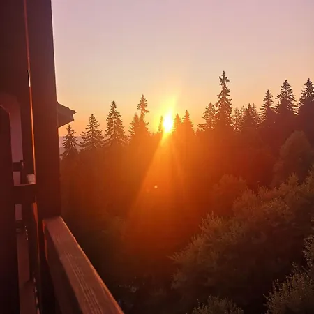 Sunny In Apartment Pamporovo