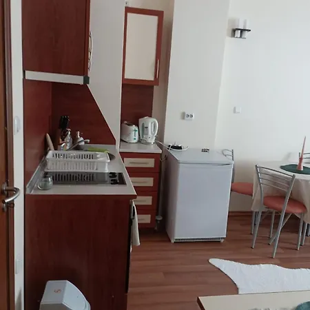 Sunny In Apartment Pamporovo