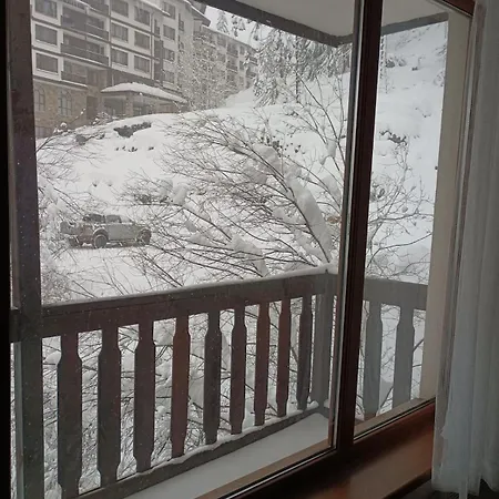 Sunny In *