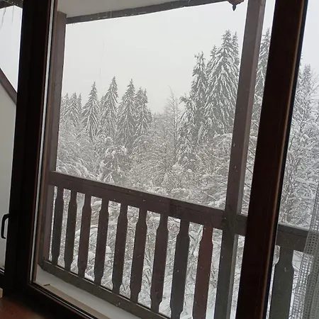 Sunny In * Pamporovo