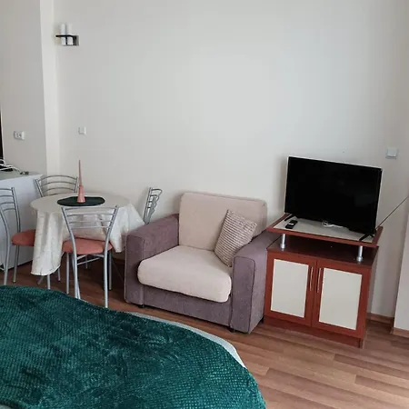 Apartment Sunny In *