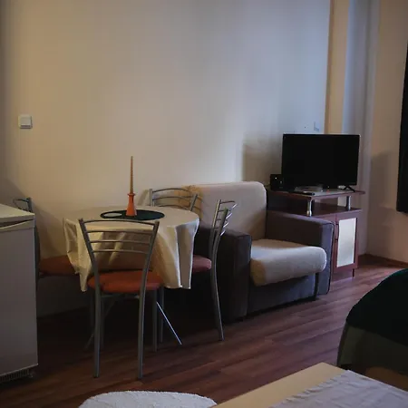 Sunny In Apartment