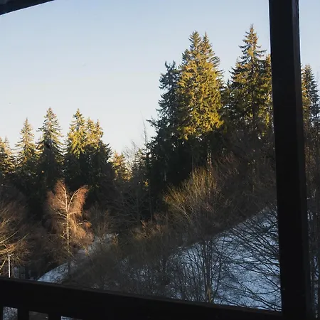 Apartamento Sunny In *