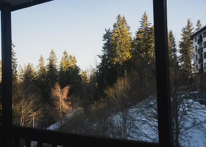 Apartment Sunny In *