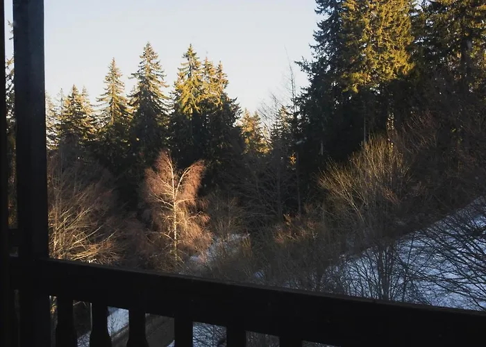 Apartamento Sunny In *